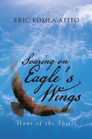 Cover of the book Soaring on Eagle's Wings by Anchal Andrews