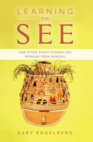 Cover of the book Learning to See by Jeff Ryan