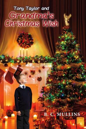 Cover of the book Tony Taylor and Grandma's Christmas Wish by Justin Walker