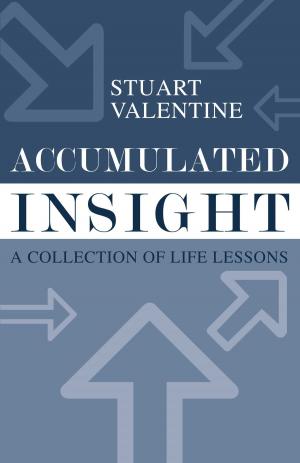 Cover of the book Accumulated Insight by Angelo Aulisa