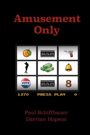 Cover of the book Amusement Only by Chris Markham