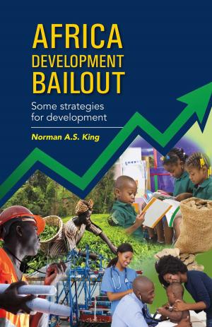 Cover of the book Africa Development Bailout by Rich Ferguson