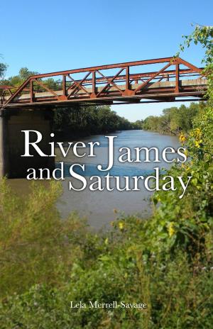 Cover of the book River James and Saturday by Sara Connell