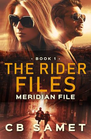 Book cover of Meridian File