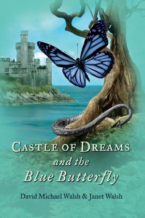 Book cover of Castle of Dreams and the Blue Butterfly