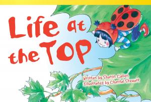 Cover of the book Life at the Top by Rice Dona Herweck