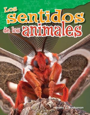 Cover of the book Los sentidos de los animales by Stephanie E. Macceca