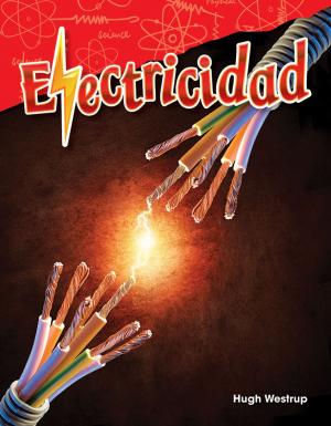 Cover of the book Electricidad by Anne Montgomery
