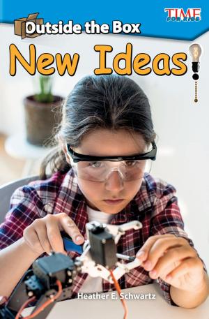 Cover of the book Outside the Box: New Ideas! by Harriet Isecke