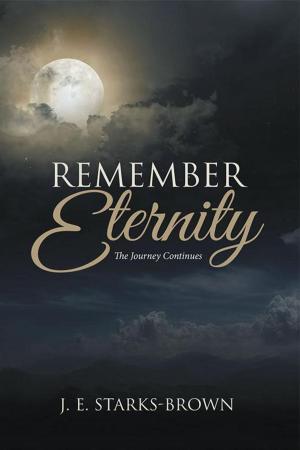 Cover of the book Remember Eternity by Dennis Jones