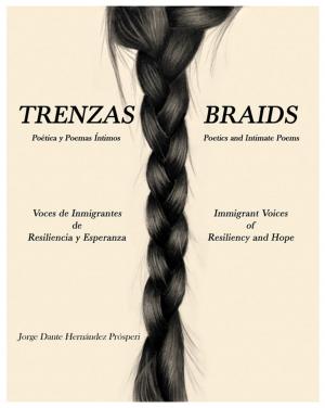 Cover of the book Trenzas ~ Braids by Neeti Tibrewala