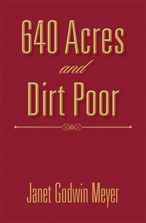 Cover of the book 640 Acres and Dirt Poor by B. Harry Shultz