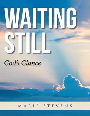 Cover of the book Waiting Still by Joshua David Ling