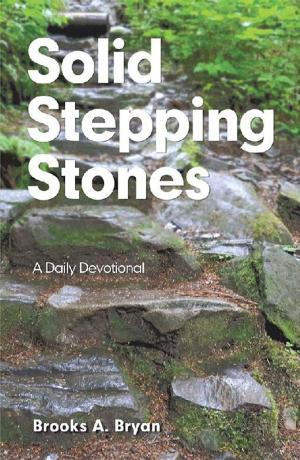 Cover of the book Solid Stepping Stones by J.J. Fox