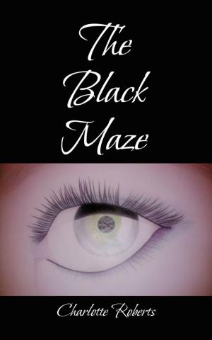Cover of the book The Black Maze by REVA SPIRO LUXENBERG