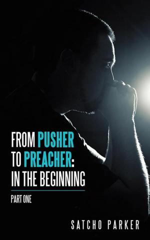 Cover of the book From Pusher to Preacher: in the Beginning by Patricia B. Hall