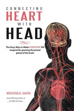 Cover of the book Connecting Heart with Head by Gary M. Levin