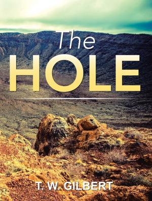 Cover of the book The Hole by Kendal Prill