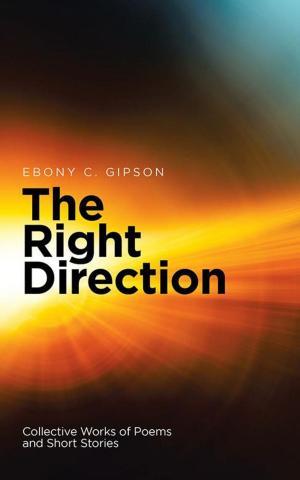 Cover of the book The Right Direction by Holly Mandelkern