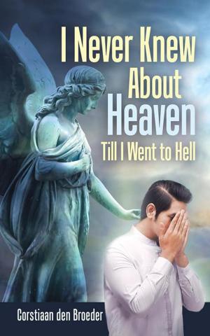 Cover of the book I Never Knew About Heaven Till I Went to Hell by Molly Decoursey