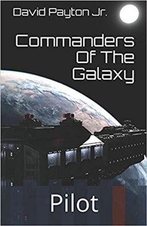 Cover of the book Pilot by Andrew Burt