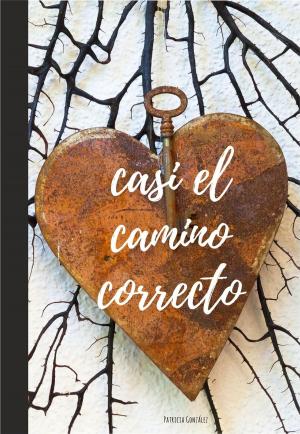 Cover of the book Casi el camino correcto by José Luis García Navarro