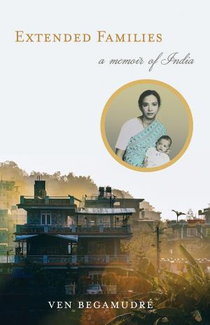 bigCover of the book Extended Families by 