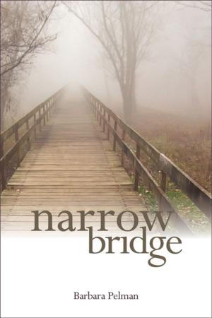 Cover of the book Narrow Bridge by Philip Roy