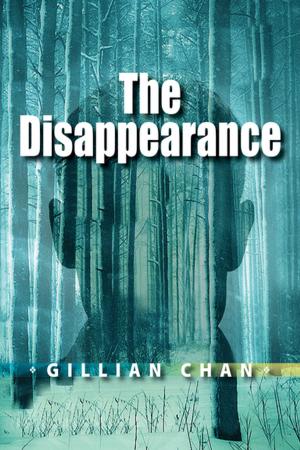 Cover of the book The Disappearance by Peter Edwards