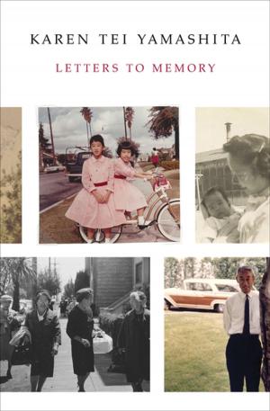 Cover of the book Letters to Memory by Karen Tei Yamashita