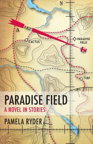 Cover of the book Paradise Field by Amber Jantine