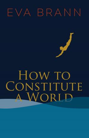 Cover of the book How to Constitute a World by Michael Pereira, David Mason