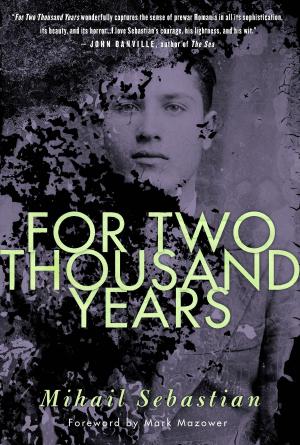Cover of the book For Two Thousand Years by Eva Hoffman