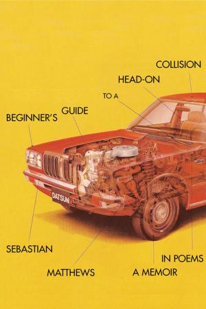 Cover of the book Beginner's Guide to a Head-On Collision by GEOFFREY CLARK