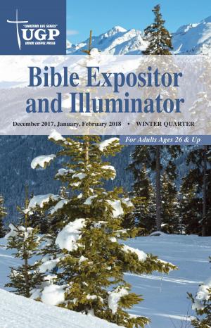 Cover of the book Bible Expositor and Illuminator by Marvin McKenzie