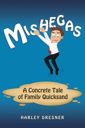 Cover of the book Mishegas by Brian E. Howard