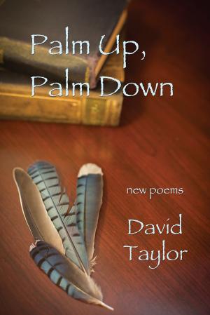 Cover of the book Palm Up, Palm Down by Celeste Guzman Mendoza