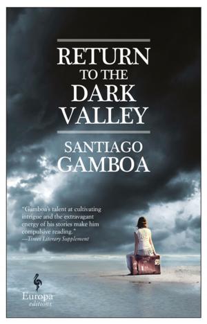 Cover of the book Return to the Dark Valley by Nothomb