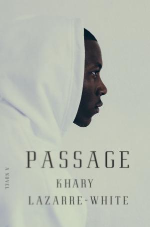 Cover of the book Passage by Subhankar Banerjee