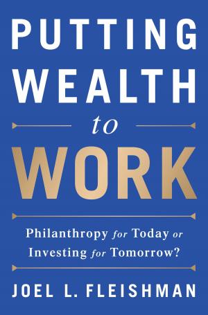 Cover of the book Putting Wealth to Work by Michael Grabell