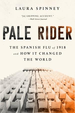 Cover of the book Pale Rider by Dana H. Allin, Steven N Simon