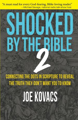 Book cover of Shocked by the Bible 2