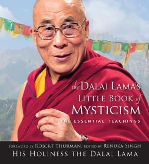Book cover of Dalai Lama's Little Book of Mysticism