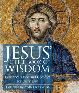 Cover of the book Jesus' Little Book of Wisdom by Stephen T. Asma