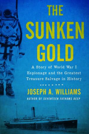 Cover of the book Sunken Gold by Bob Burns