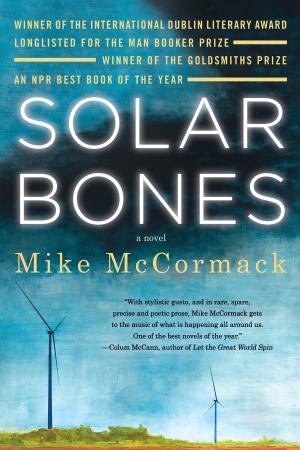 Cover of the book Solar Bones by Jacqueline Winspear