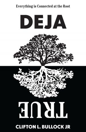 Cover of the book Deja True by Dan Butterfield