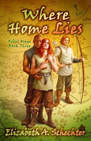 Cover of the book Where Home Lies by Alicia Cameron