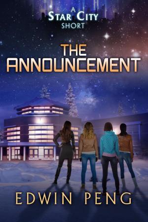 Cover of the book The Announcement by David Litwack