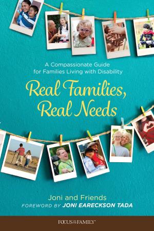 Cover of Real Families, Real Needs